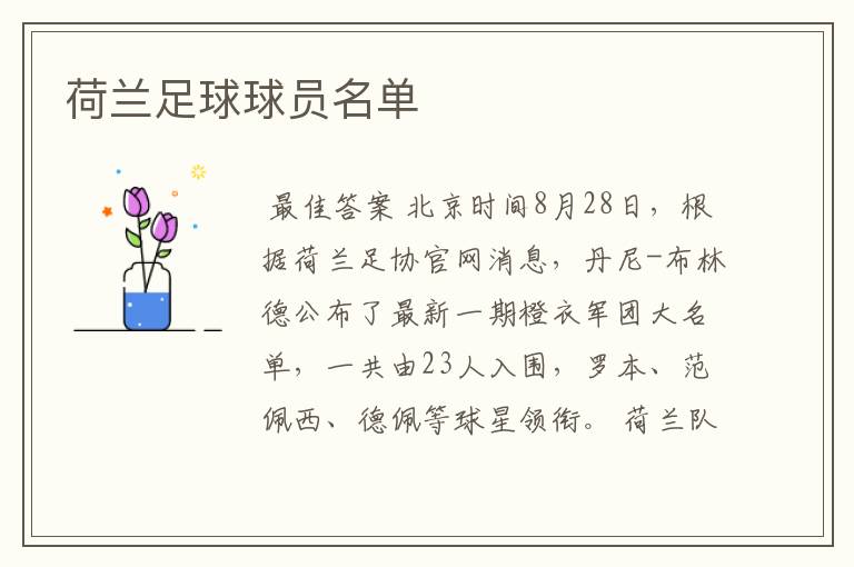 荷兰足球球员名单