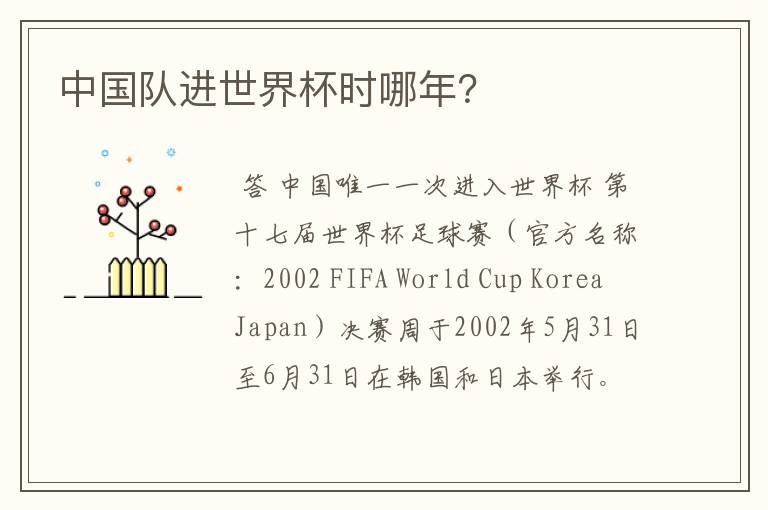 中国队进世界杯时哪年?