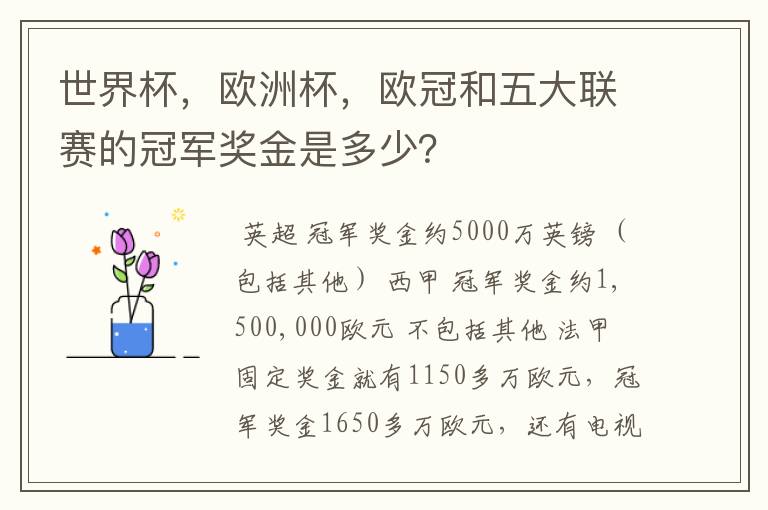 世界杯,欧洲杯,欧冠和五大联赛的冠军奖金是多少?