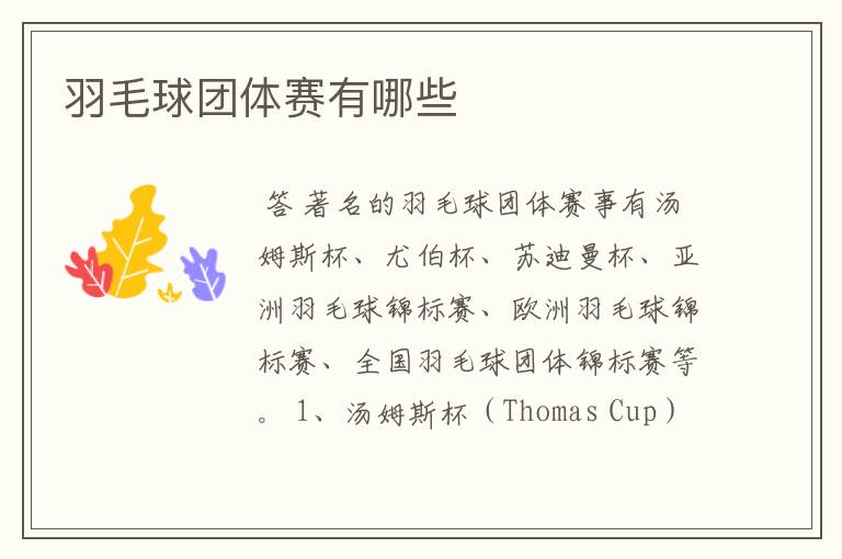 羽毛球团体赛有哪些