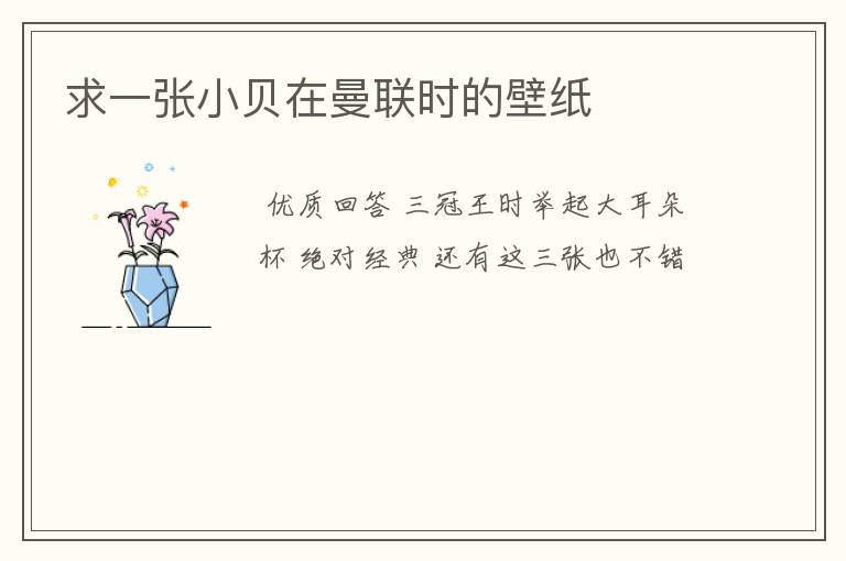 求一张小贝在曼联时的壁纸