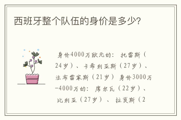 西班牙整个队伍的身价是多少?