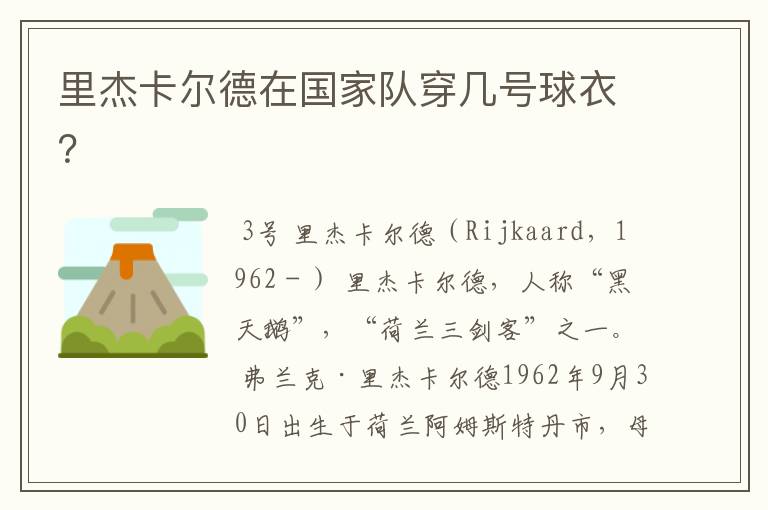 里杰卡尔德在国家队穿几号球衣?