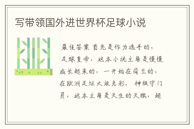 写带领国外进世界杯足球小说