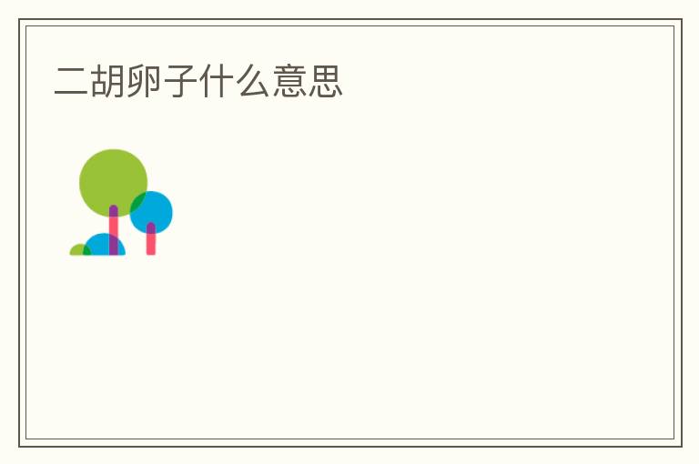 二胡卵子什么意思