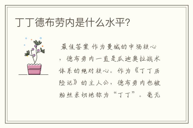 丁丁德布劳内是什么水平?