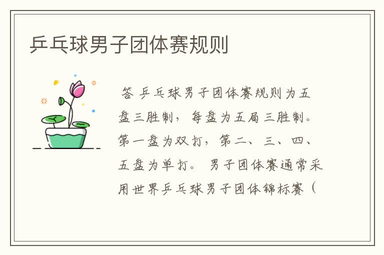 乒乓球男子团体赛规则