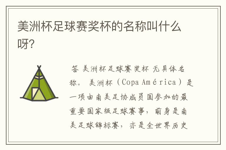 美洲杯足球赛奖杯的名称叫什么呀?
