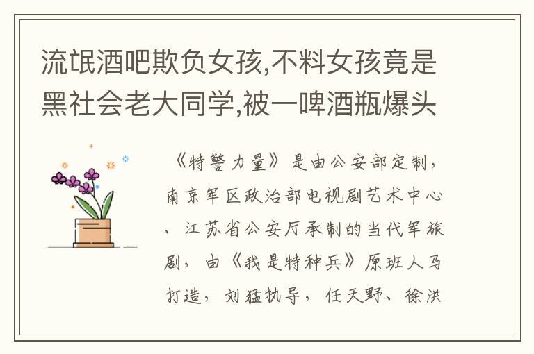 流氓酒吧欺负女孩,不料女孩竟是黑社会老大同学,被一啤酒瓶爆头、叫什么电视剧