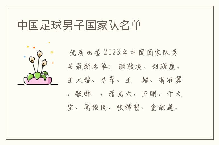 中国足球男子国家队名单