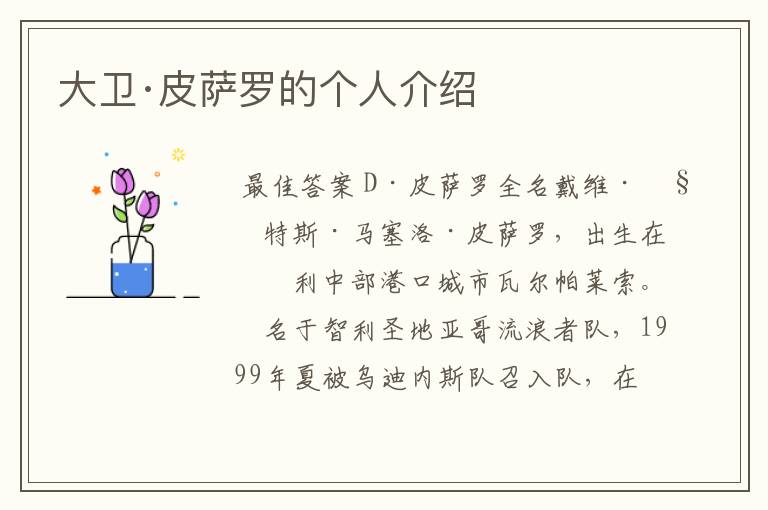 大卫·皮萨罗的个人介绍