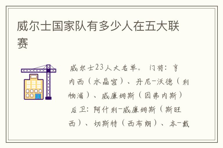 威尔士国家队有多少人在五大联赛
