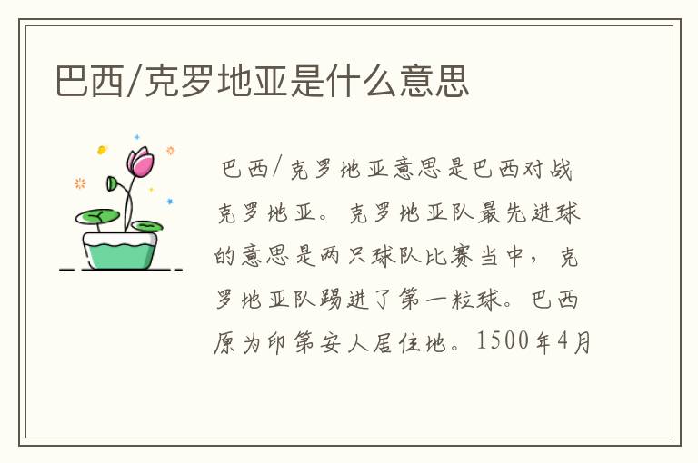 巴西/克罗地亚是什么意思