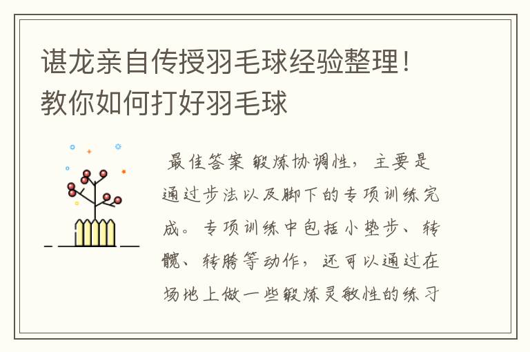 谌龙亲自传授羽毛球经验整理！教你如何打好羽毛球