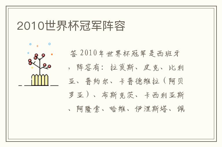 2010世界杯冠军阵容