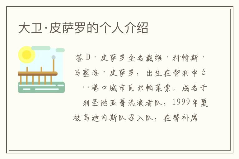 大卫·皮萨罗的个人介绍