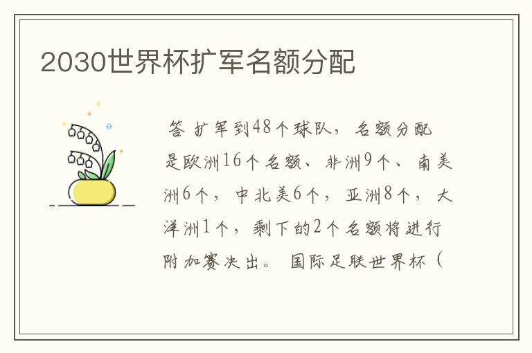 2030世界杯扩军名额分配