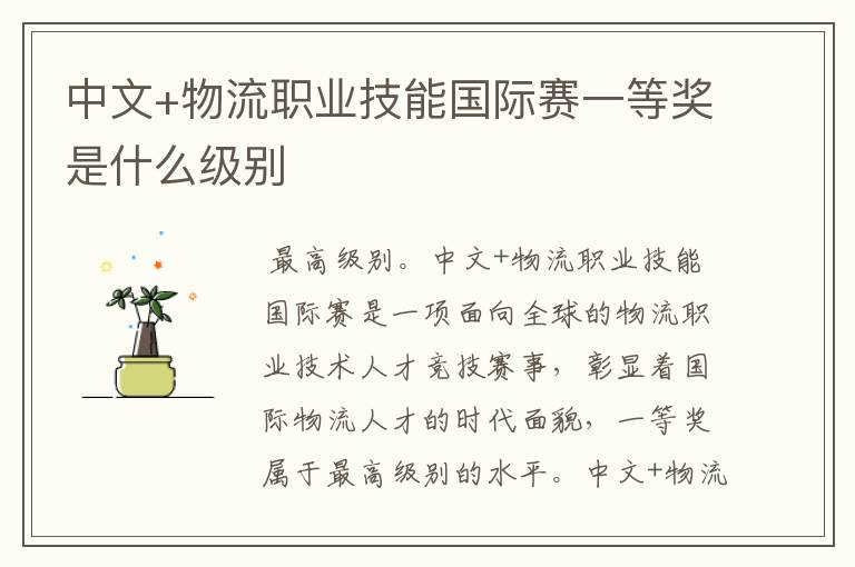 中文+物流职业技能国际赛一等奖是什么级别