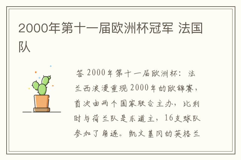 2000年第十一届欧洲杯冠军 法国队