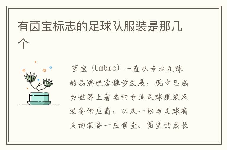有茵宝标志的足球队服装是那几个