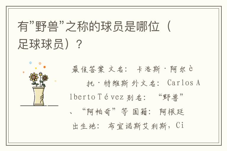 有”野兽”之称的球员是哪位(足球球员)?