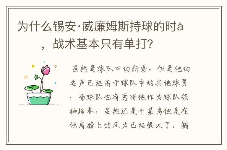 为什么锡安·威廉姆斯持球的时候,战术基本只有单打?