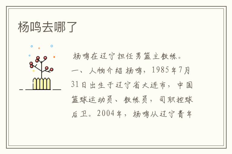杨鸣去哪了