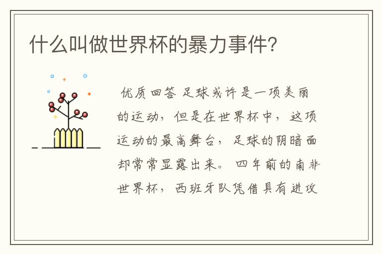 什么叫做世界杯的暴力事件?