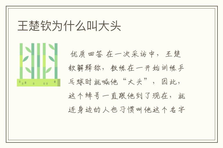 王楚钦为什么叫大头