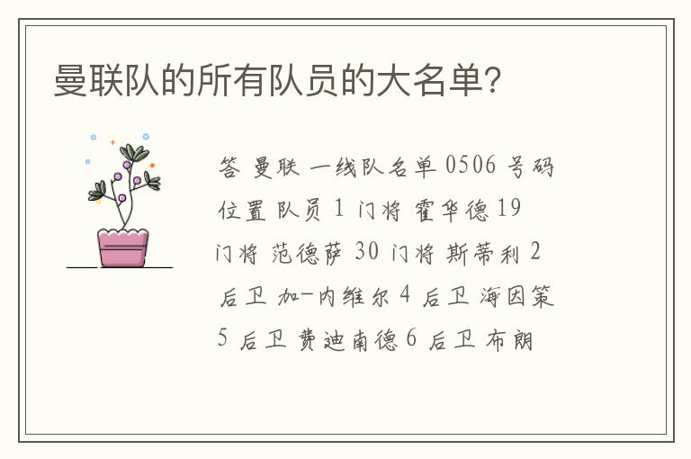 曼联队的所有队员的大名单?