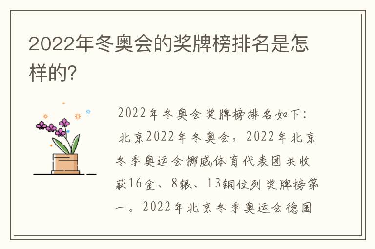 2022年冬奥会的奖牌榜排名是怎样的?