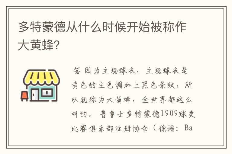 多特蒙德从什么时候开始被称作大黄蜂？