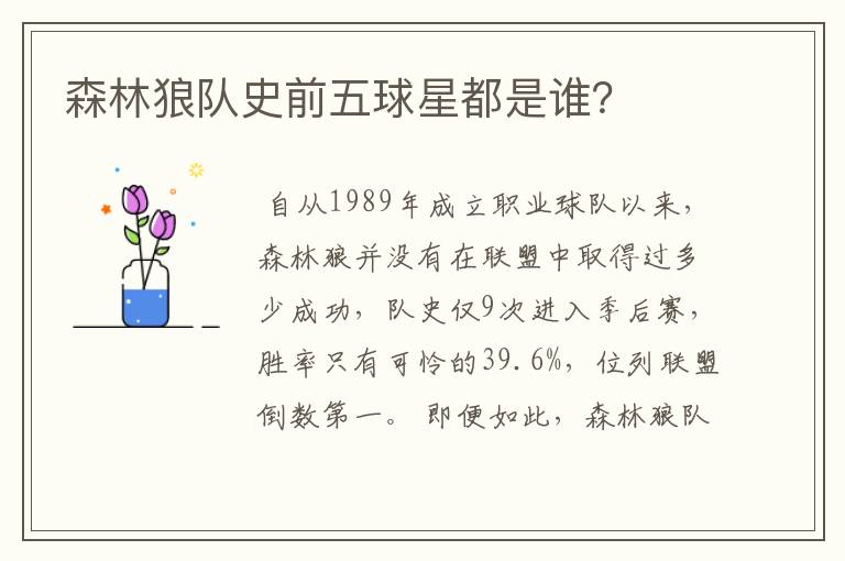 森林狼队史前五球星都是谁?