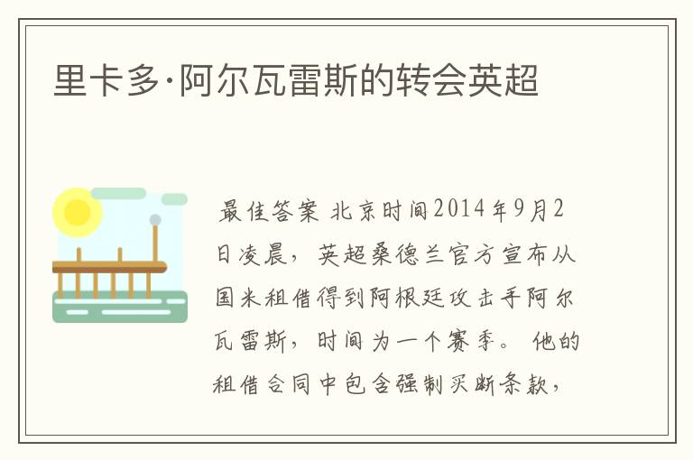 里卡多·阿尔瓦雷斯的转会英超