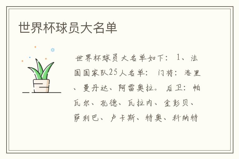 世界杯球员大名单