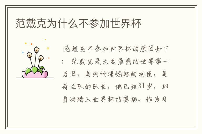 范戴克为什么不参加世界杯