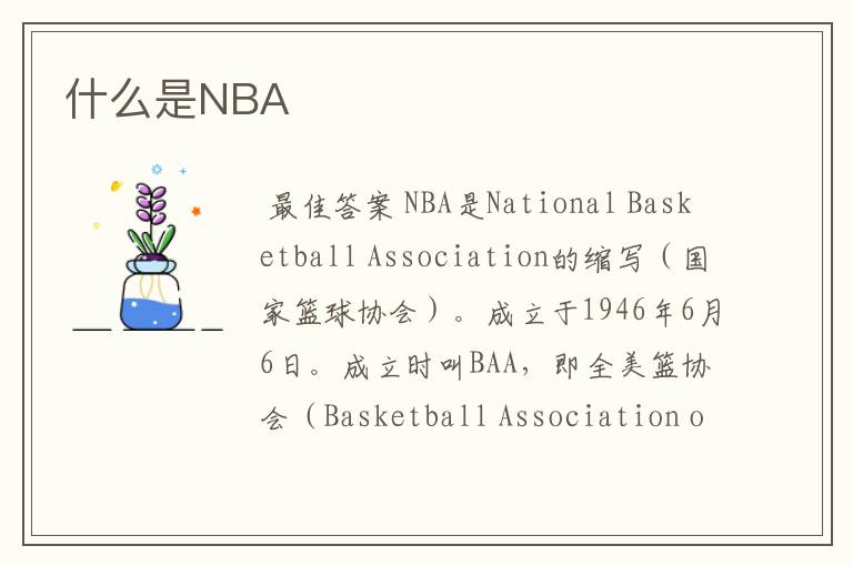 什么是NBA