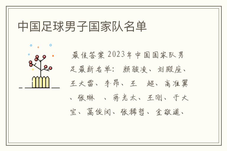 中国足球男子国家队名单