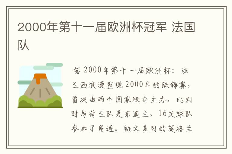 2000年第十一届欧洲杯冠军 法国队