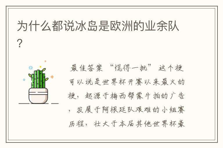 为什么都说冰岛是欧洲的业余队?