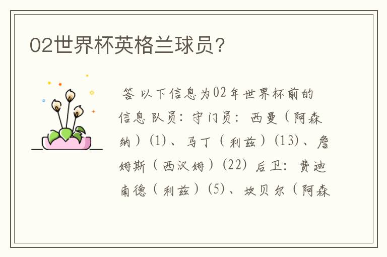 02世界杯英格兰球员?
