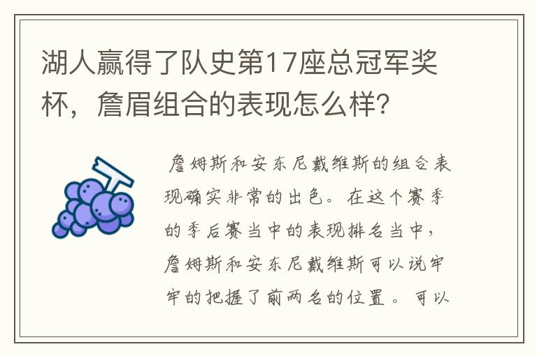 湖人赢得了队史第17座总冠军奖杯,詹眉组合的表现怎么样?