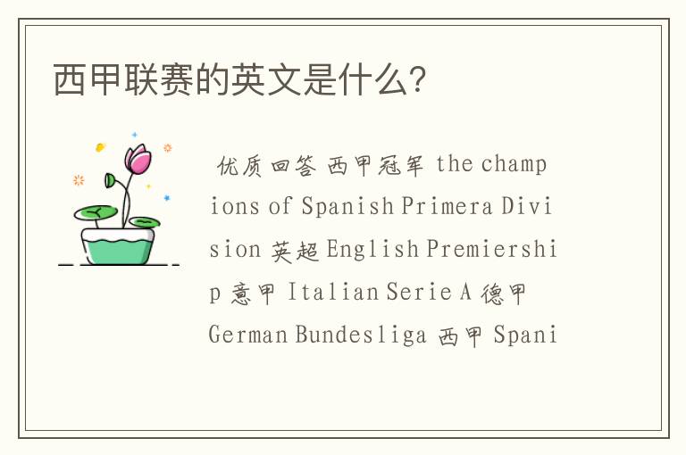 西甲联赛的英文是什么?
