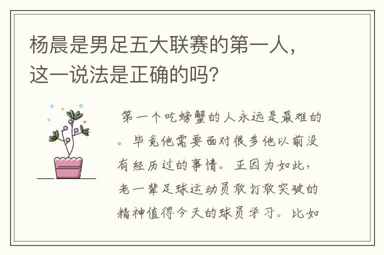 杨晨是男足五大联赛的第一人,这一说法是正确的吗?