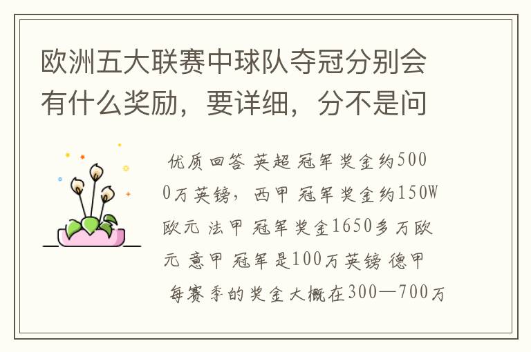 欧洲五大联赛中球队夺冠分别会有什么奖励,要详细,分不是问题