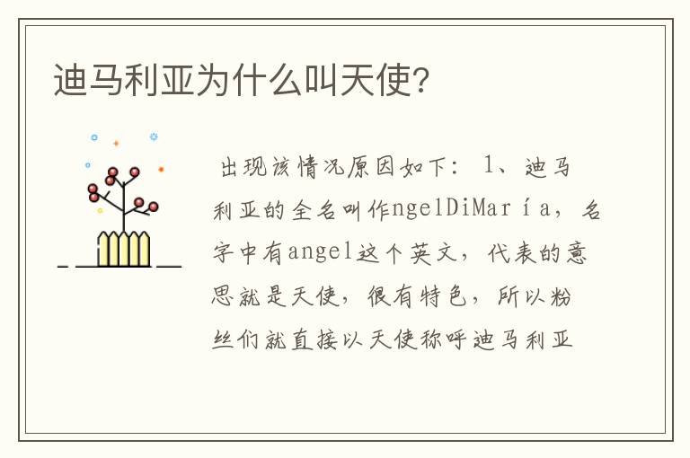 迪马利亚为什么叫天使?