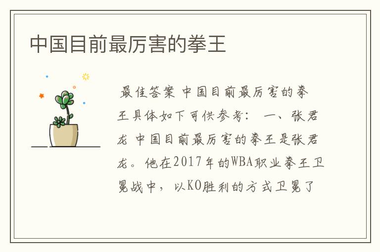 中国目前最厉害的拳王