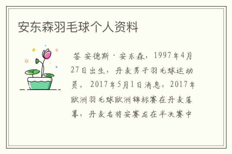 安东森羽毛球个人资料