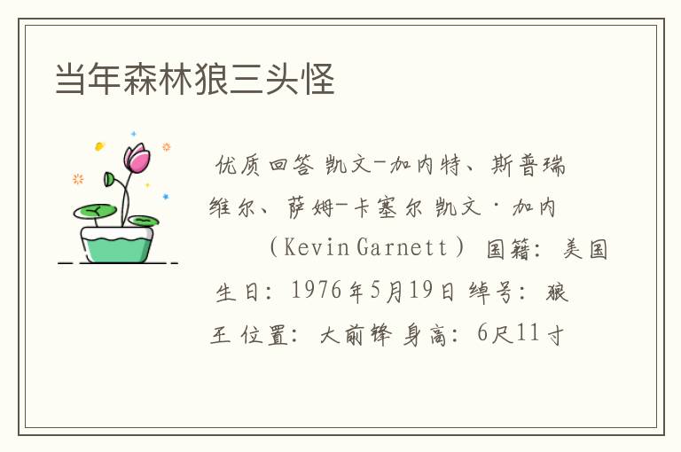 当年森林狼三头怪