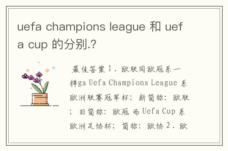 uefa champions league 和 uefa cup 的分别.?